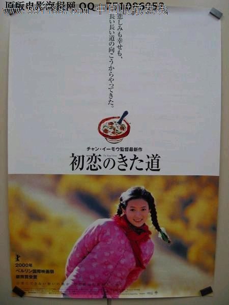 南荷兰音乐学院Diploma in Public Administration